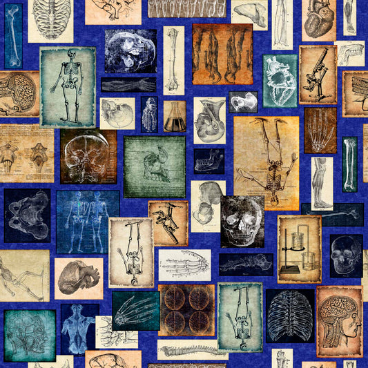 True Detective by Morris Creative Group Anatomy Patches Royal 30717Y Cotton Woven Fabric