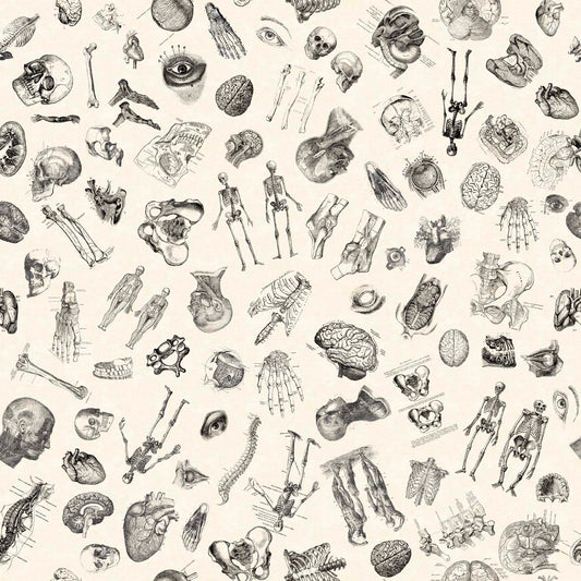 True Detective by Morris Creative Group Anatomy Toss Beige 30718E Cotton Woven Fabric