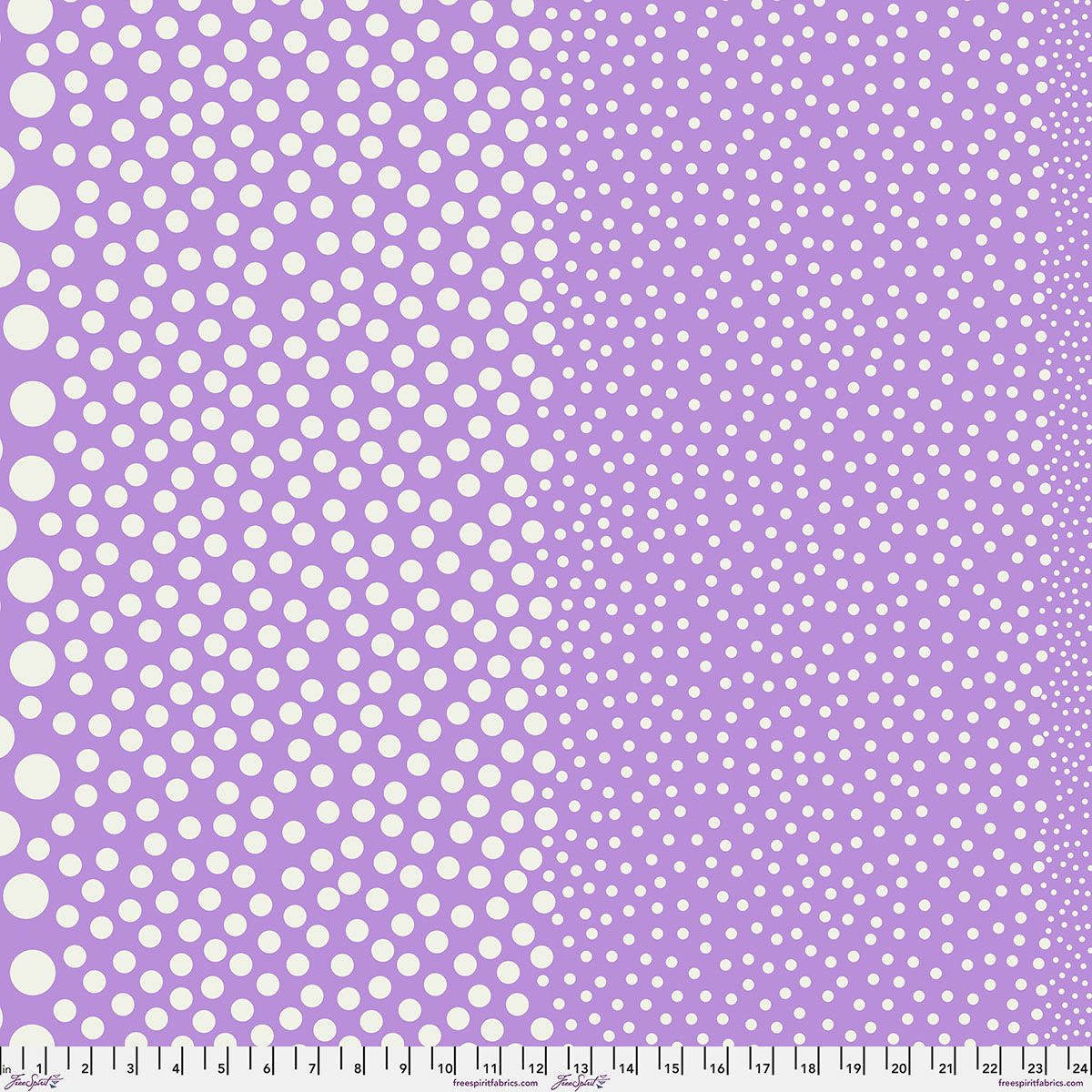 Preorder March 2027: Tula Pink True Colors Sticks and Stones PWTP299.Lilaclily