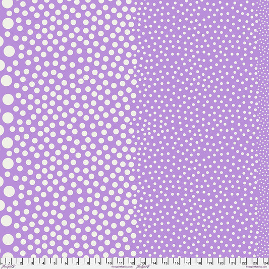 Preorder March 2027: Tula Pink True Colors Sticks and Stones PWTP299.Lilaclily