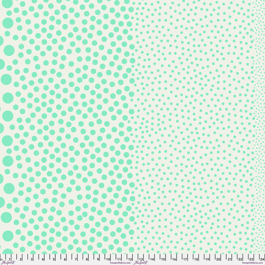Preorder March 2027: Tula Pink True Colors Sticks and Stones PWTP299.Oasis