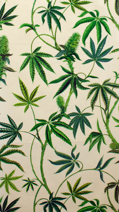 Heavy Oxford Home Deco  Cannabis Sativa Light Tea  h8325b Cotton Fabric