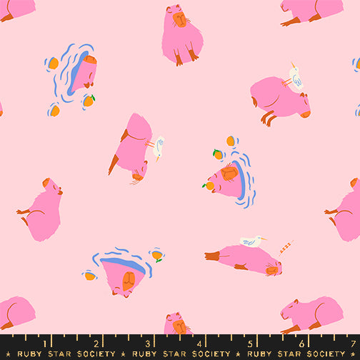 Animal Animal by Ruby Star Society Capybara Cotton Candy    RS5164.12 Cotton Woven Fabric