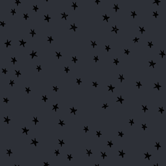 Starry by Alexia Marcelle Abegg of Ruby Star Society Charcoal    RS4109.91 Cotton Woven Fabric