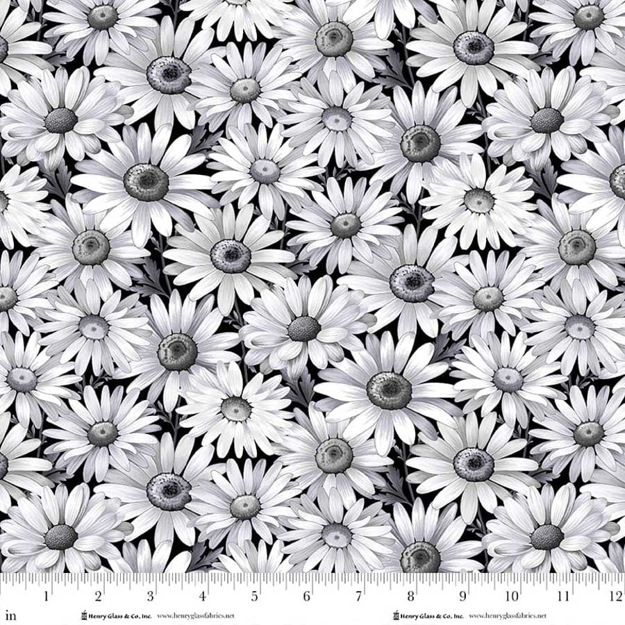 PREORDER ITEM - EXPECTED APRIL 2026: Scarlet's Treasure by Color Principle Daisies Black    3641-99 Cotton Woven Fabric