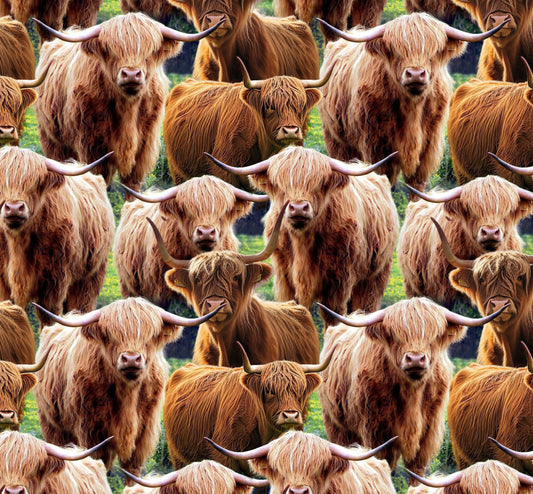 PREORDER ITEM - EXPECTED IN DECEMBER 2024: Highland Cows  DX-6664-4C-1 Cotton Woven Fabric