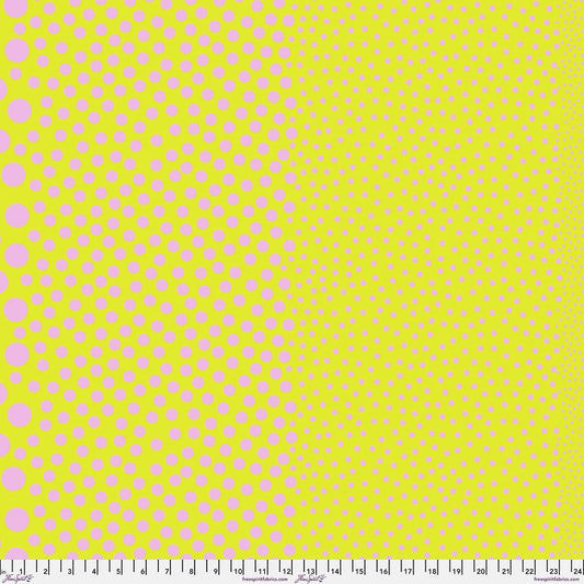 Preorder March 2027: Tula Pink True Colors Sticks and Stones PWTP299.Cherrylimeade