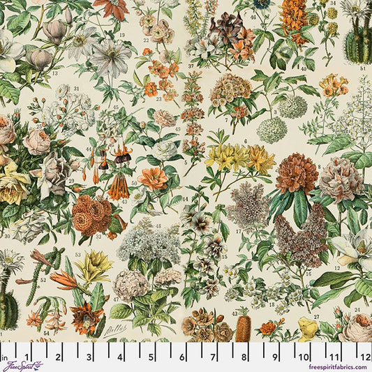 Preorder April 2026: Palette Canvas Cloth Orange Botanical Canvas CCTH022.ORANGE by Tim Holtz