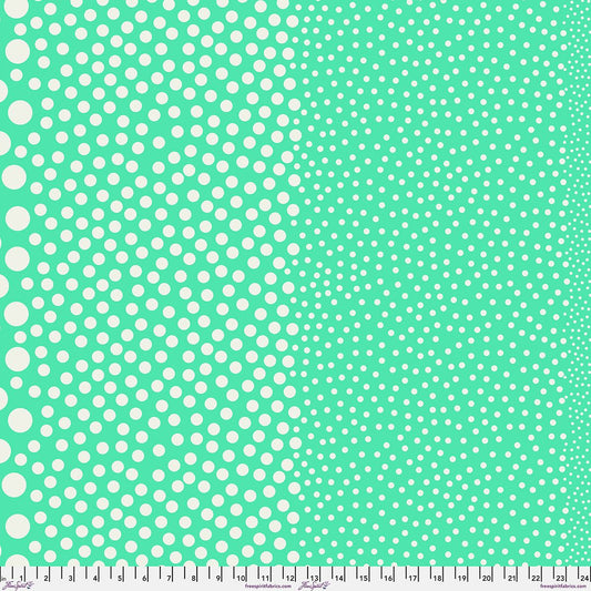 Preorder March 2027: Tula Pink True Colors Sticks and Stones PWTP299.Patina