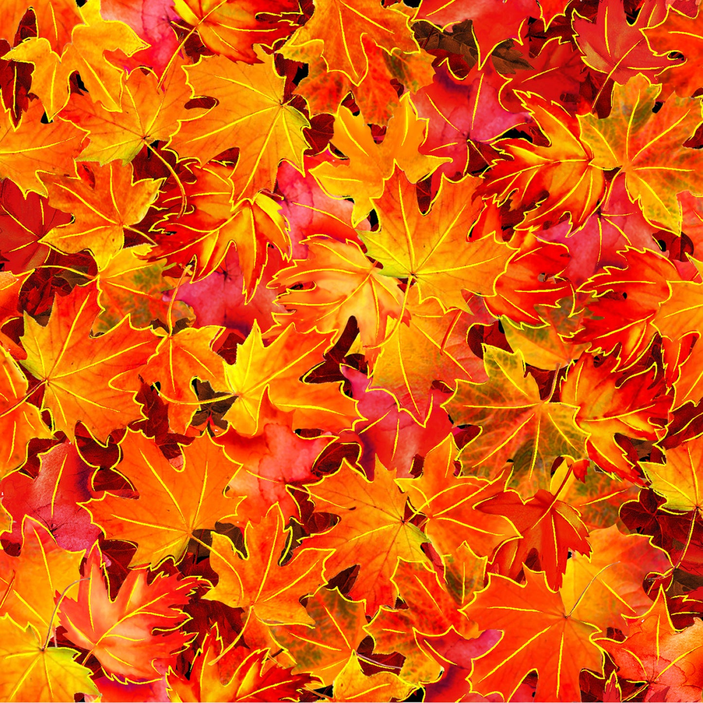 New Arrival: Golden Harvest Maple Leaves Orange    597041 Cotton Woven Fabric