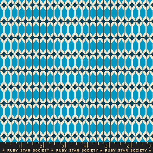 PREORDER ITEM EXPECTED IN FEBRUARY 2026: Trinketry by Melody Miller of Ruby Star Society Matchbook Light Blue    RS0115.16 Cotton Woven Fabric