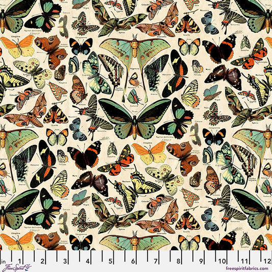 Preorder April 2026: Palette Canvas Cloth Teal Butterflies Canvas CCTH027.TEAL by Tim Holtz
