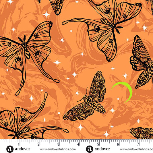 Phantasm by Libs Elliott Mystic Moths Flame A.1516.O Cotton Woven Fabric