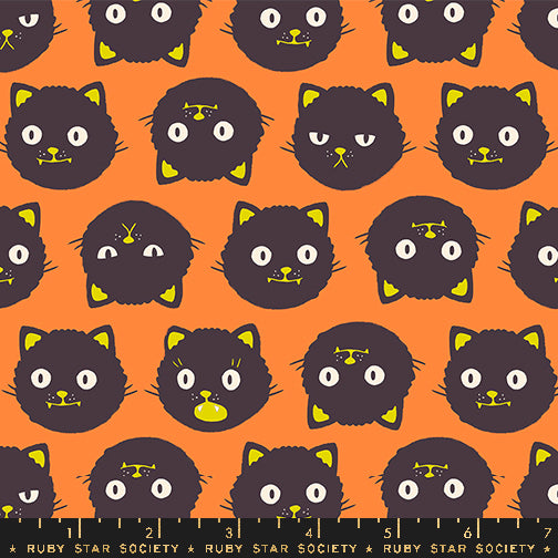 Good Spirits by Ruby Star Society Scaredy Cats Pumpkin  GLOW IN THE DARK  RS5137.12G Cotton Woven Fabric