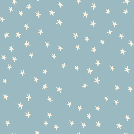 Starry by Alexia Marcelle Abegg of Ruby Star Society Soft Blue    RS4109.84 Cotton Woven Fabric