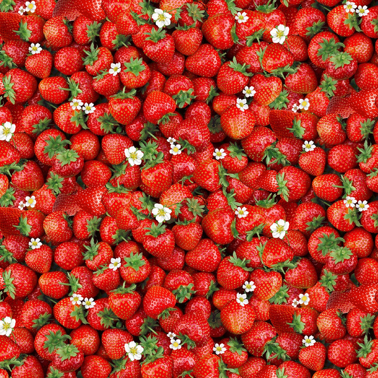 Berry Sweet Sweet Strawberries Red    CD3403-RED Cotton Woven Fabric