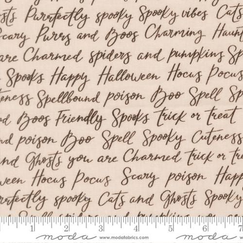 Preorder May 2026: Purrs and Boos Moonbeam 39062 11 by Elena Amo