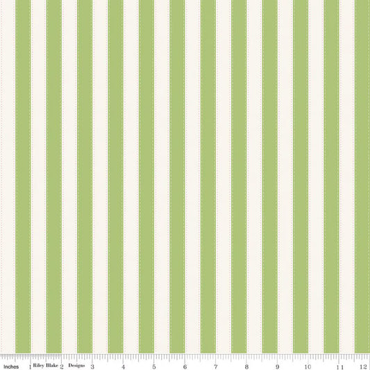 Preorder November 2026: The World of Strawberry Shortcake Stripes Green C18565-GREEN