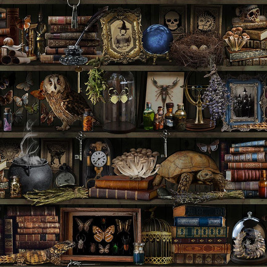 Mad Scientist Apothecary Witch Apothecary Book Shelf    LIBRARY-CD2877-BROWN Cotton Woven Fabric