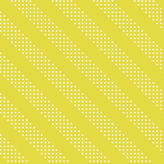 Preorder Feb 2027: Sidekicks Dots Stripe Citron RS5219 16 by RSS