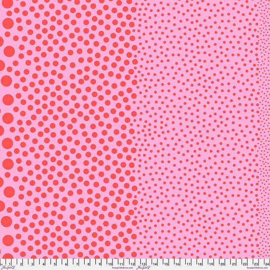 Preorder March 2027: Tula Pink True Colors Sticks and Stones PWTP299.Watermelon
