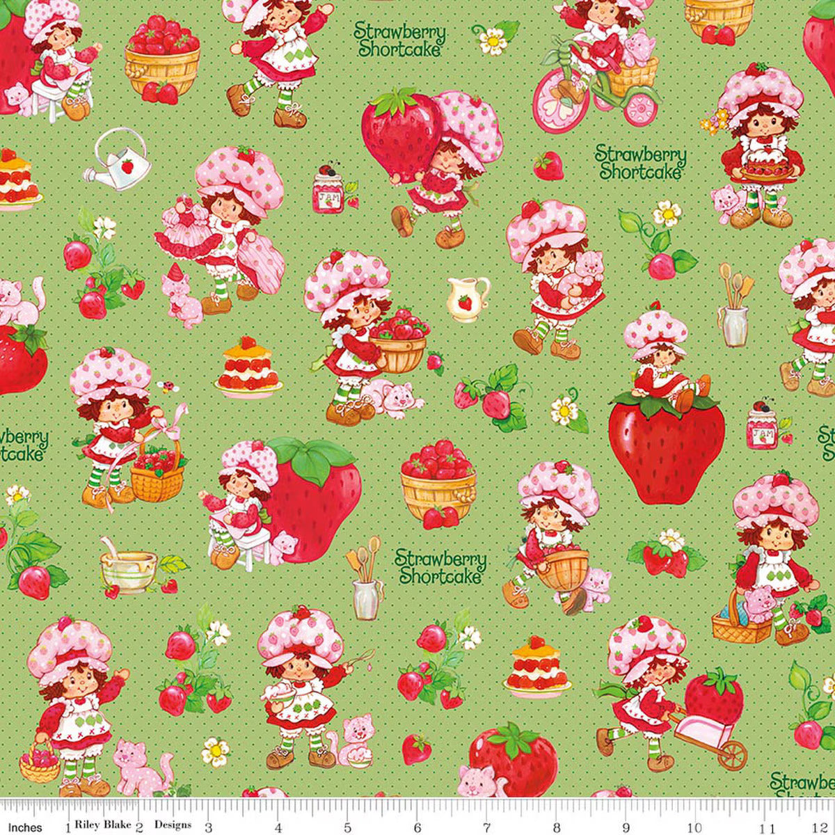 Preorder November 2026: The World of Strawberry Shortcake Main Green C18560-GREEN