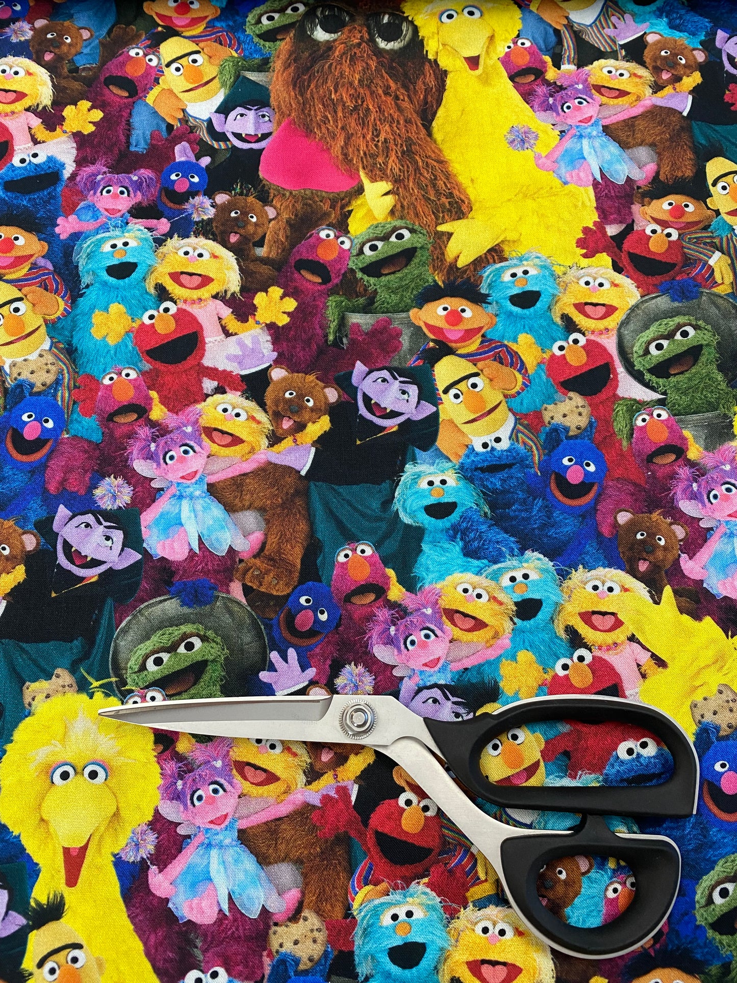 Licensed Sesame Street 27916-X Cotton Woven Fabric