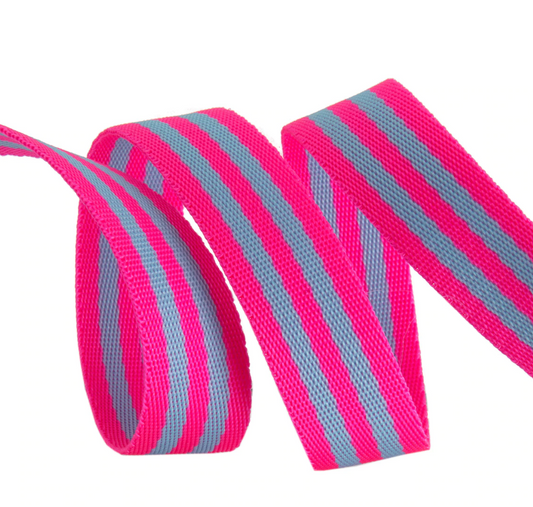 Tula Pink Nylon Webbing Aqua/Hot Pink 1" TKS-91/1" Col 05 Priced per yard