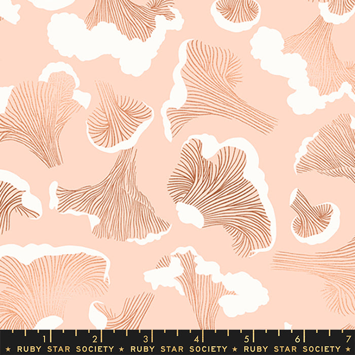 Elixir by Melody Miller of Ruby Star Society Forager Metallic Peach Cream      RS0039-11M Cotton Woven Fabric