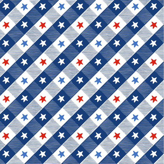 All American Gnomes by Andi Metz Star Picnic Check Blue 12726B-54 Cotton Woven Fabric
