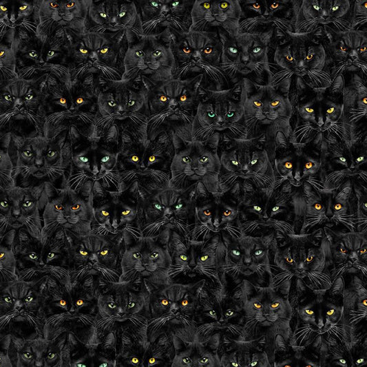 Wicked Black Cats Magic CD1831-BLACK Cotton Woven Fabric