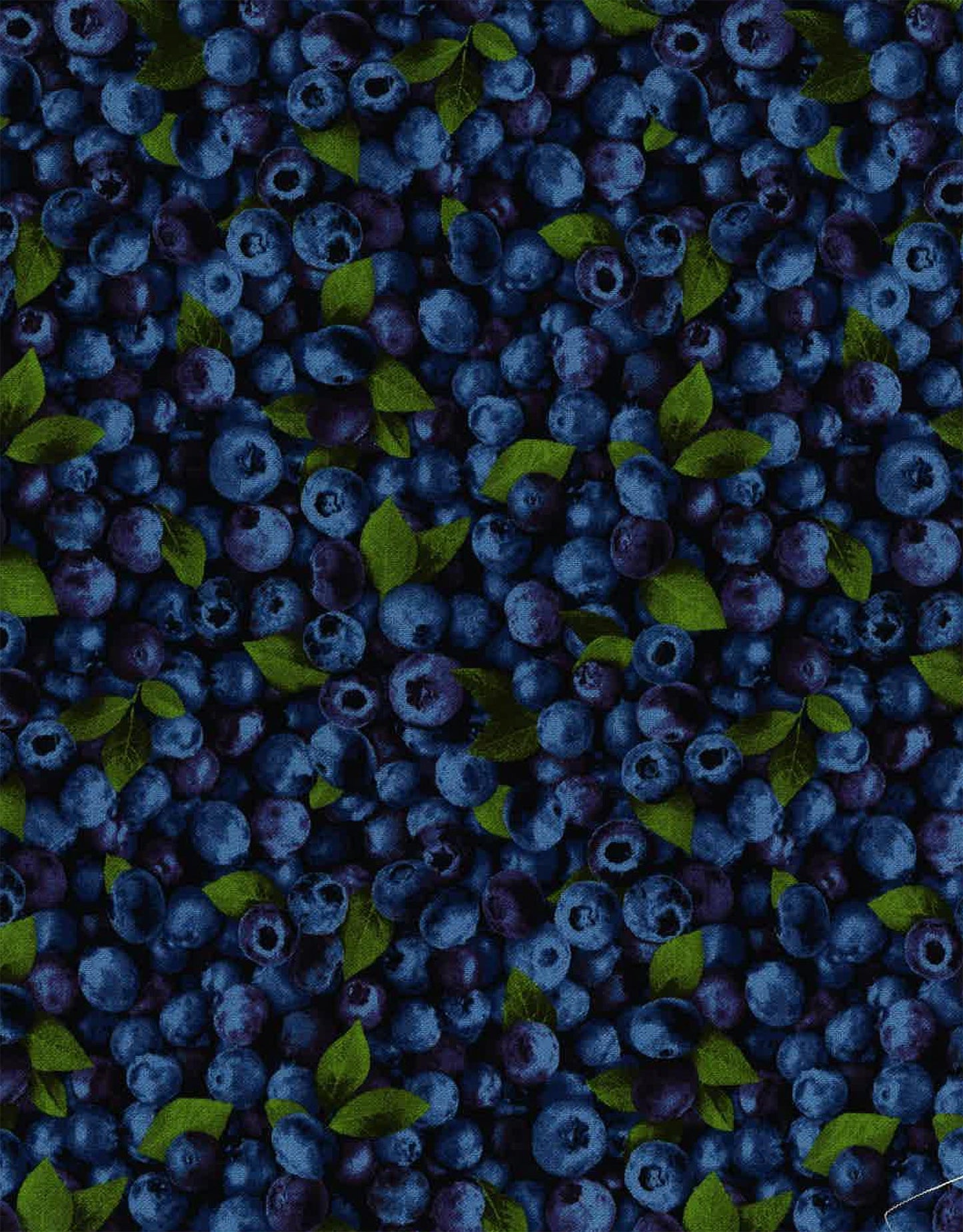 Market Place Digital Blueberries  594931 Cotton Woven Fabric