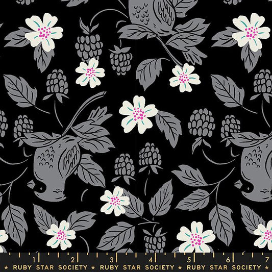 Backyard by Sarah Watts of Ruby Star Society Cardinal Black     RS2084-15 Cotton Woven Fabric