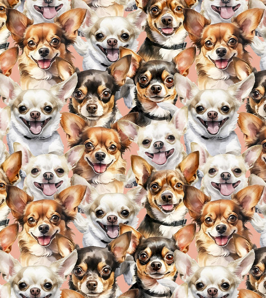 Doggies! Chihuahuas Peach packed DX-4811-3C-1 Cotton Woven Fabric