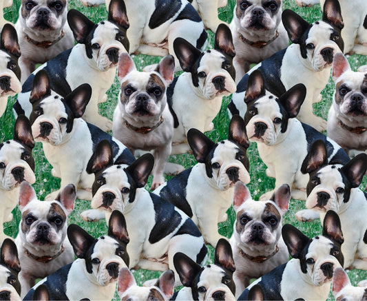 Doggies! Frenchie Grass Digitally Printed   DX42673C1 Cotton Woven Fabric