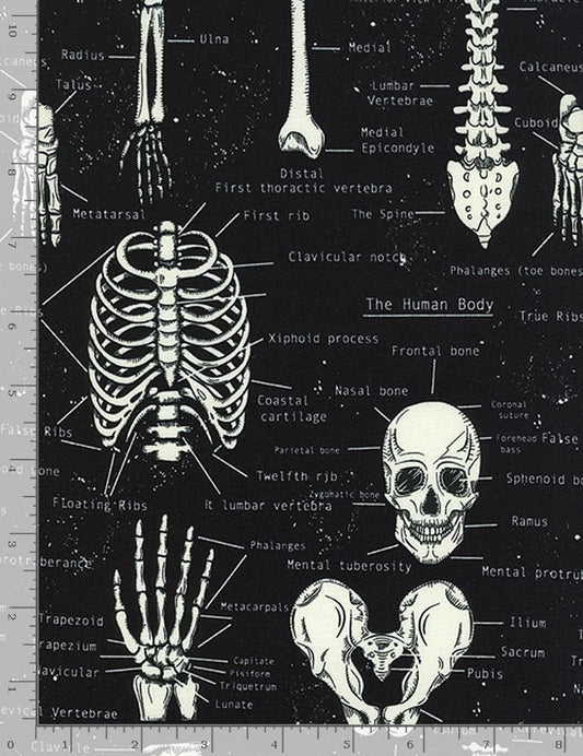 Glow in the Dark Skeletons Glow in the Dark Black    FUN-CG9810 Cotton Woven Fabric