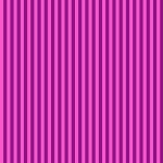 Tula Pink True Color Tent Stripe Foxglove PWTP069.FOXGLOVE Cotton Woven Fabric