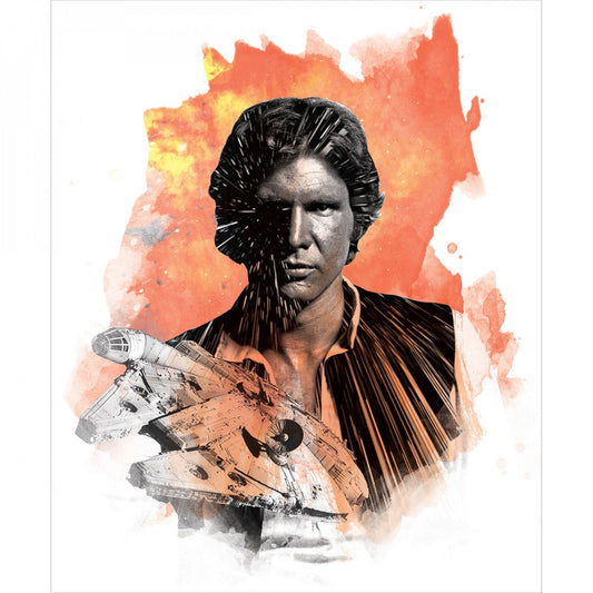 Star Wars Han Solo 36" Panel Cotton Woven Panel