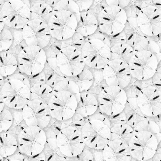 Coastal Paradise by Barb Gelotte Tourtillotte Sand Dollars 1499-90 Cotton Woven Fabric