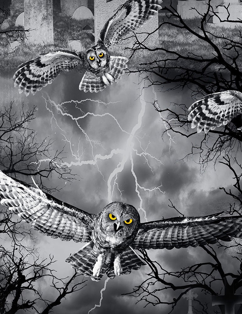 Wicked  Owls in the Graveyard Night Fog Wicked-C7023-Night Cotton Woven Fabric