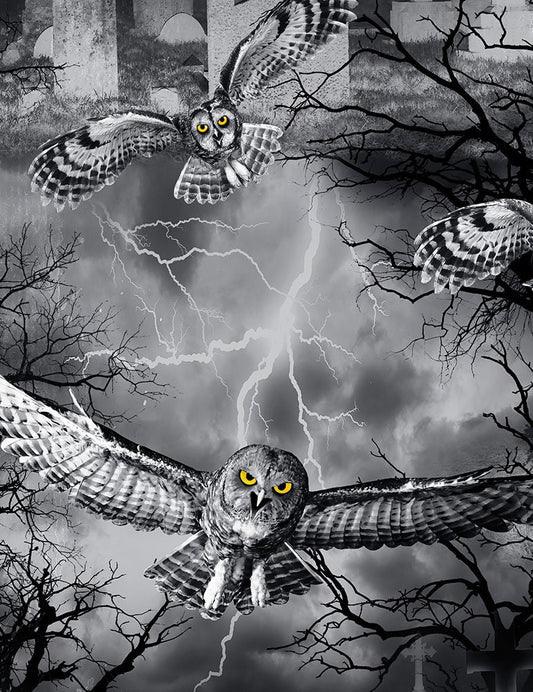 Wicked Owls in the Graveyard Night Fog Wicked-C7023-Night Cotton Woven Fabric