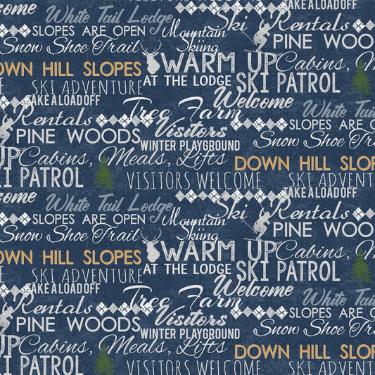 Winter Playground by Dan DiPaolo Denim Winter Playground Words Y2767-89 Cotton Woven Fabric