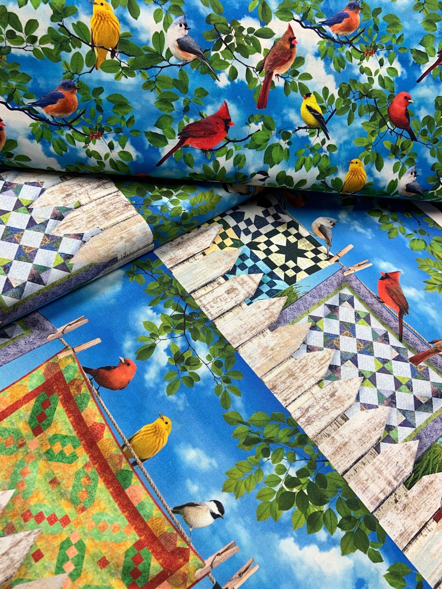 Colorful Birds Bird-CD7703-Multi Cotton Woven Fabric