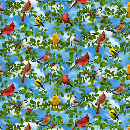 Colorful Birds Bird-CD7703-Multi Cotton Woven Fabric