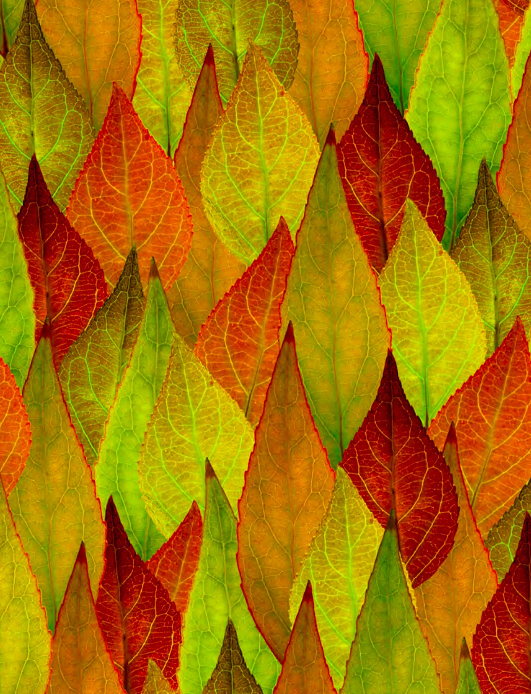 Nature's Narratives R4669-178-Leaf Cotton Woven Fabric