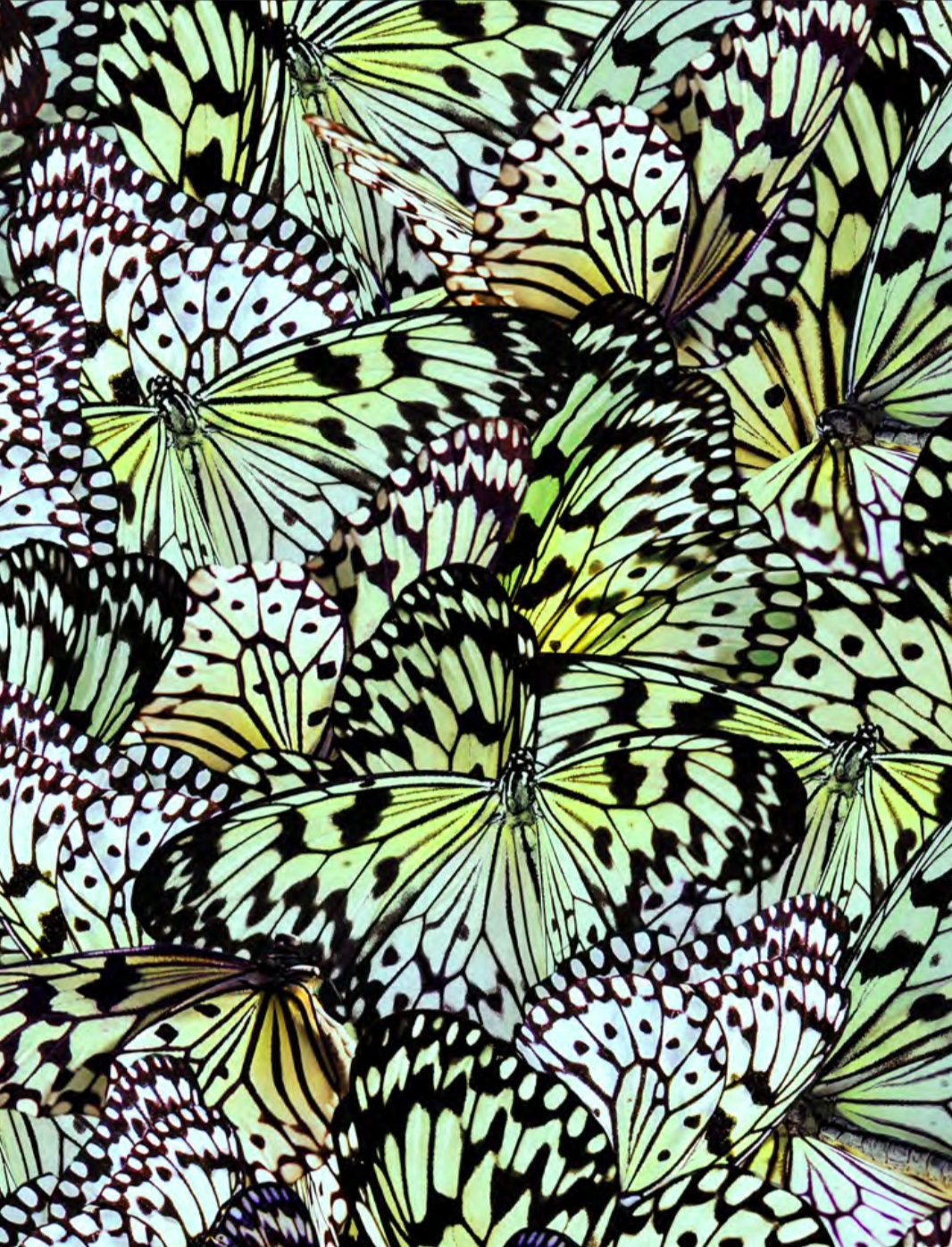 Nature's Narratives R4672-656-Mariposa Cotton Woven Fabric