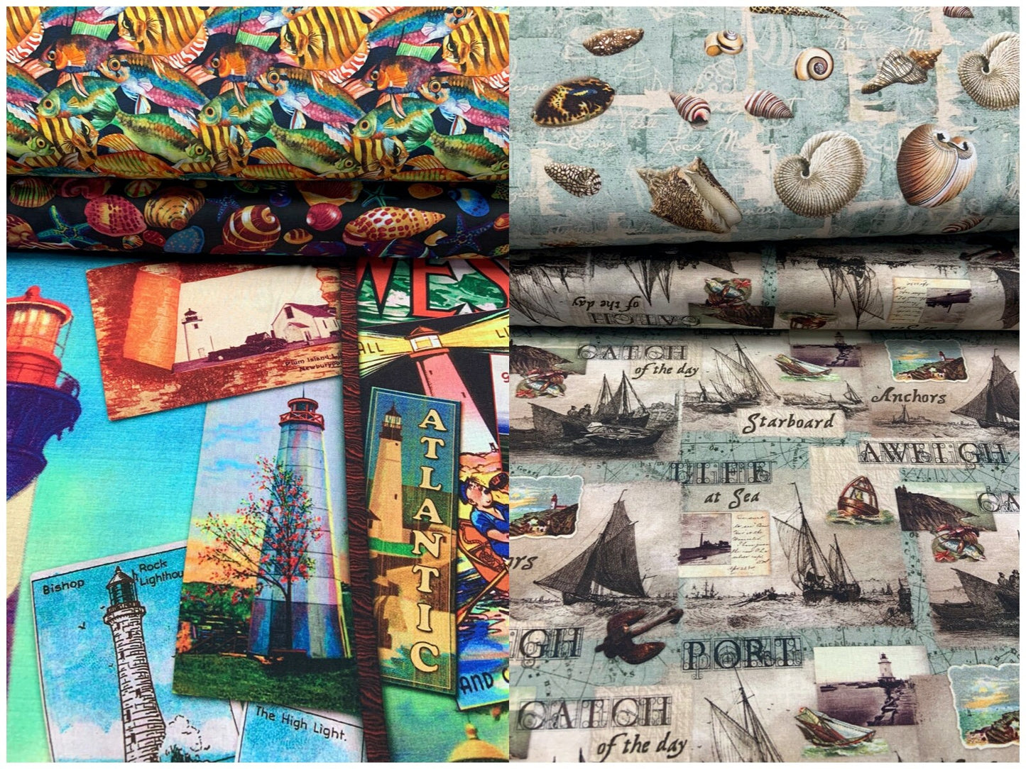 Ocean Latitudes Shell Collection 71575J370715 Cotton Woven Fabric