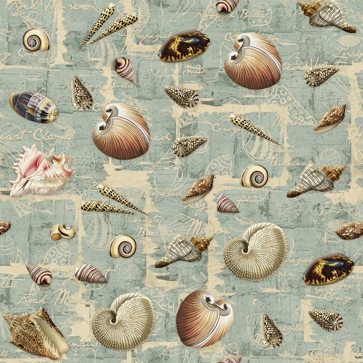 Ocean Latitudes Shell Collection 71575J370715 Cotton Woven Fabric
