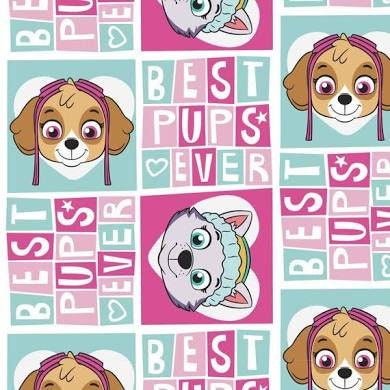 Paw Patrol Best Pups Ever Sky & Everest Cotton Woven Fabric