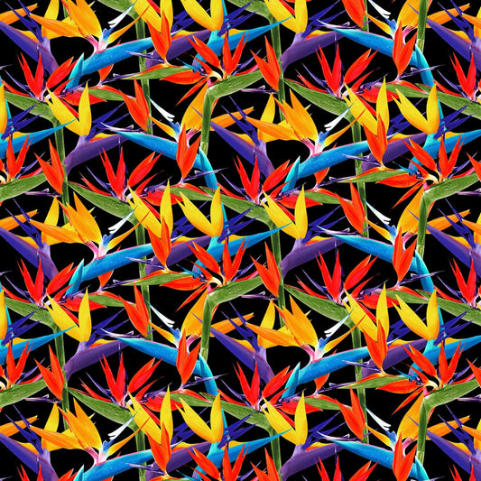 Birds in Paradise by Lisa Sparling Floral Black 9083-99 Cotton Woven Fabric